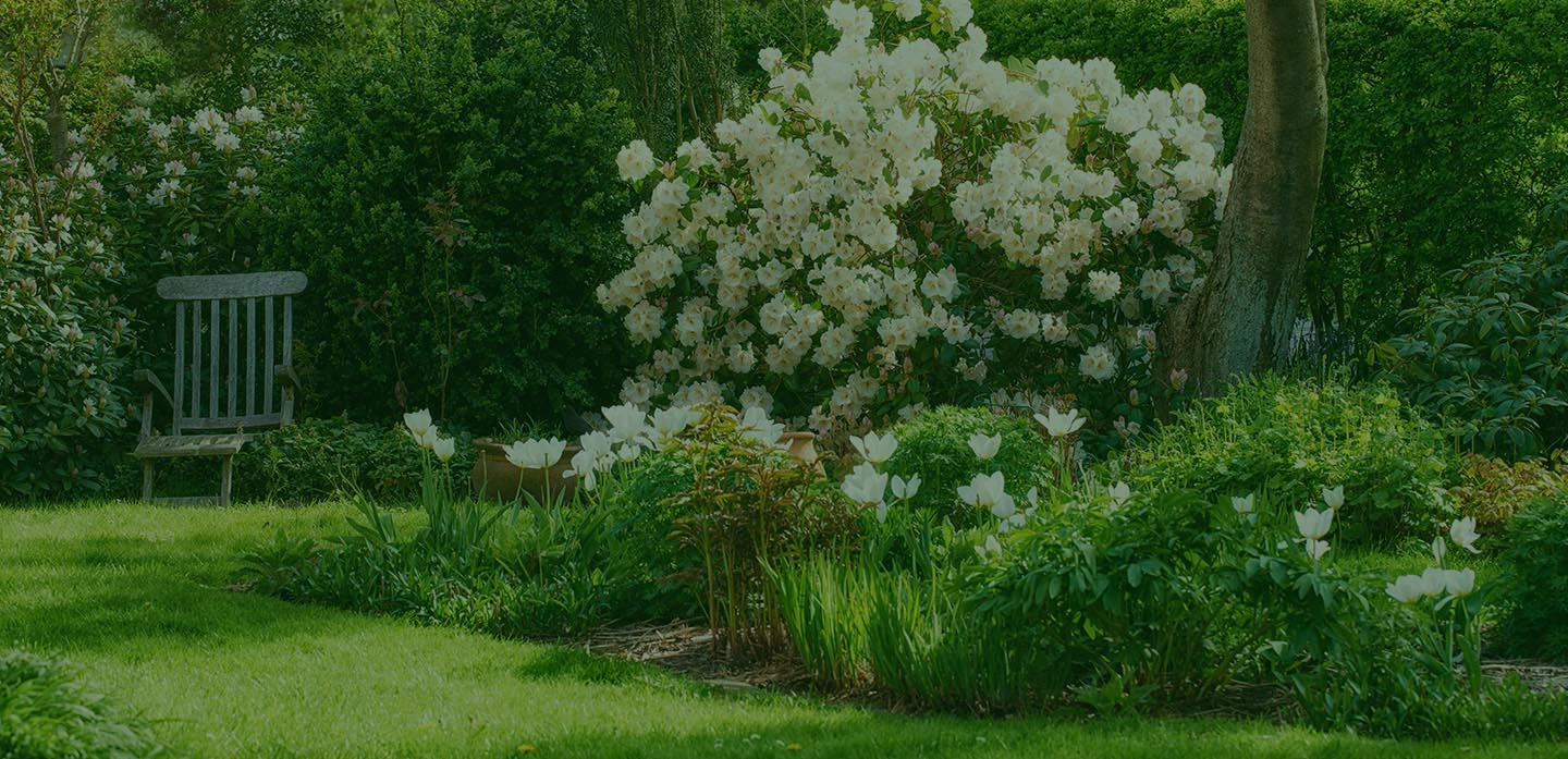 Sussex based Garden planting and landscape design with natural lawn, curved beds with beautiful flowers.