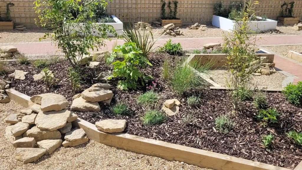 Evergreen planted flower beds built from softwood sleepers and white rendered blockwork raised beds surrounded with groups of golden coloured rocks and shingle.