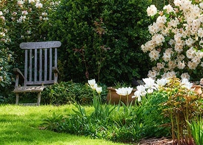Garden Area with Flowers