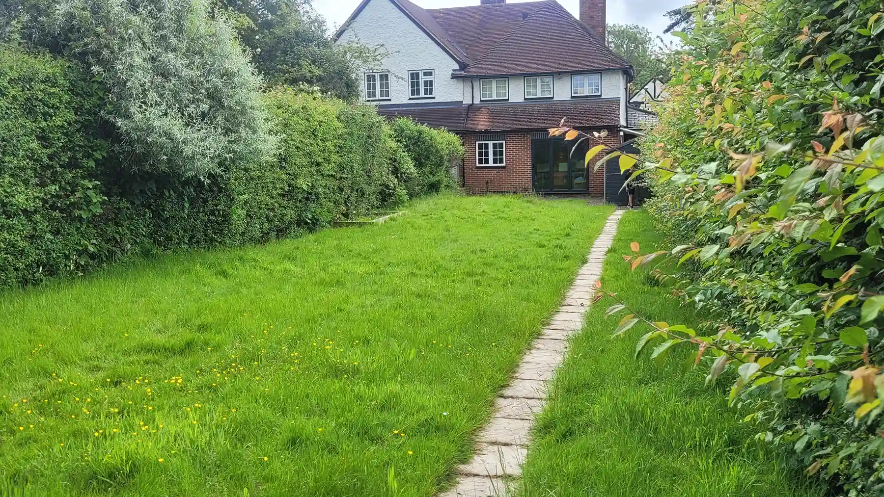 Large overgrown grass area with small pathway in back garden.