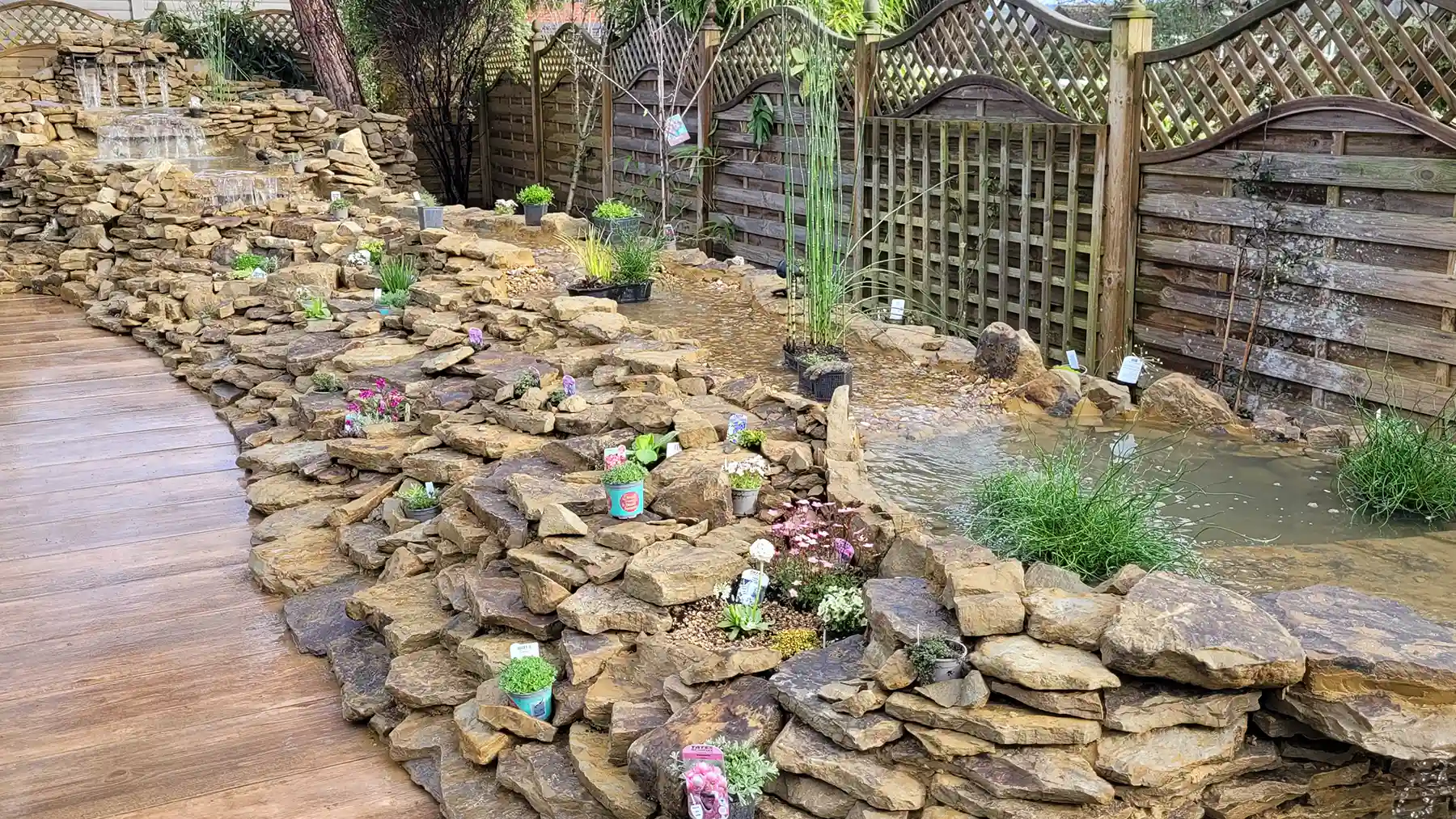 Water feature with rockery and plants.