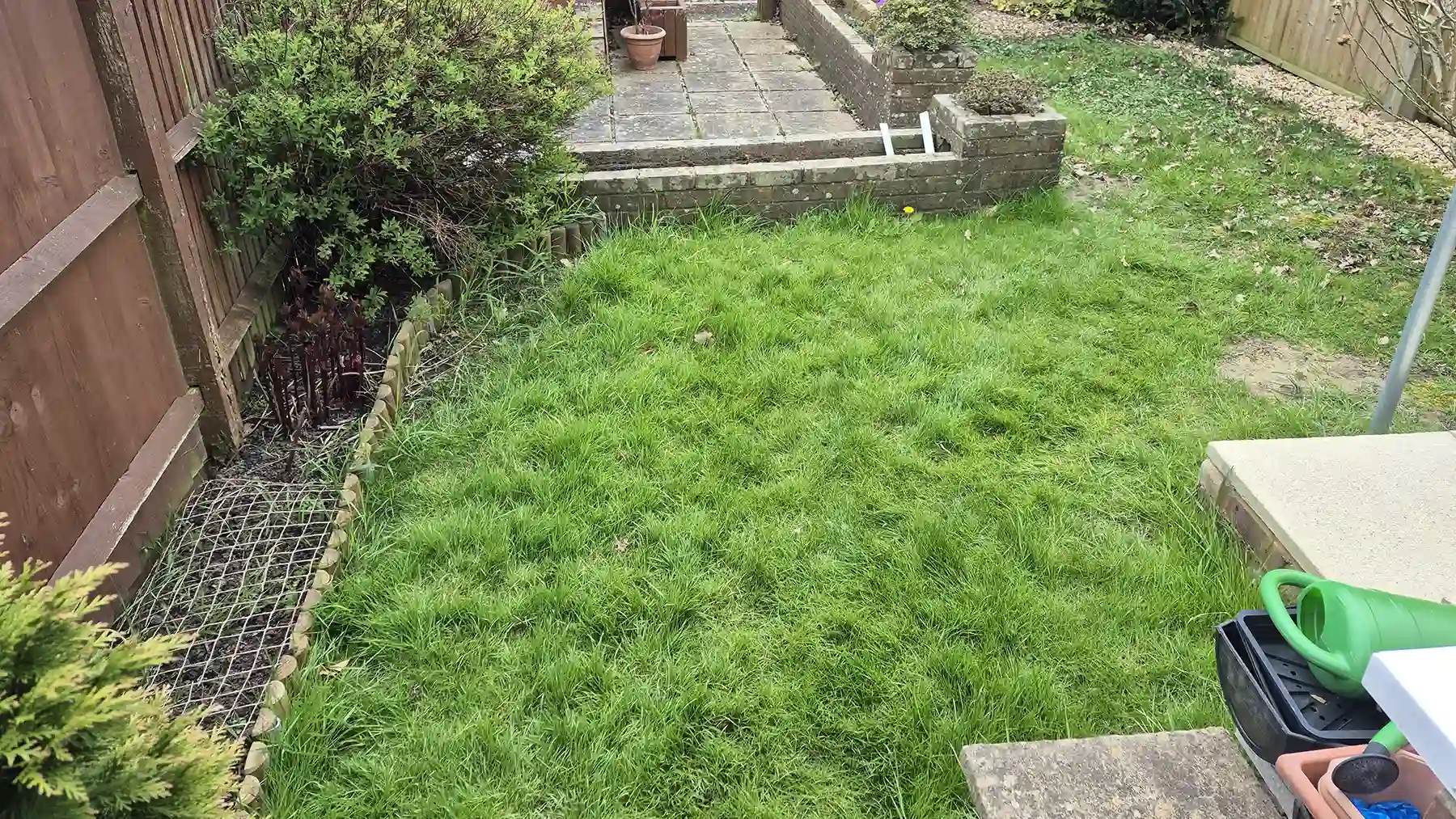 Overgrown lawn forming part of a small untidy garden.