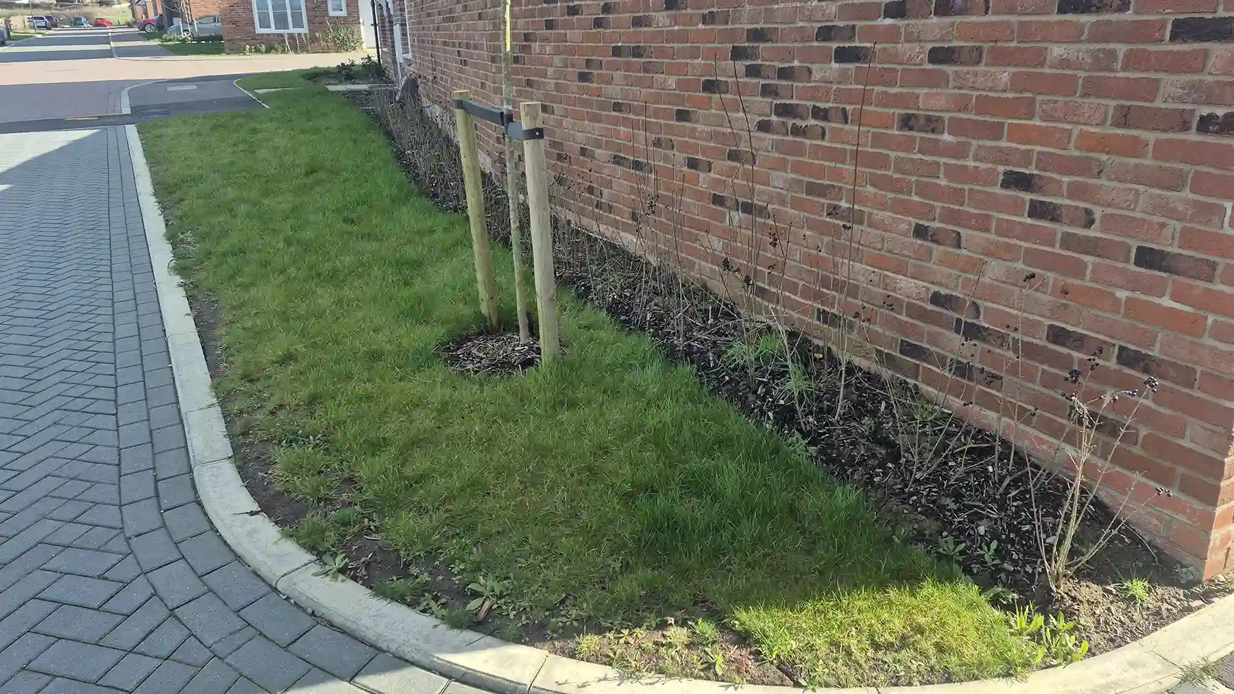 A narrow front lawn area and garden border with newly planted shrubs and a young tree supported by wooden stakes along a curved brick house wall.