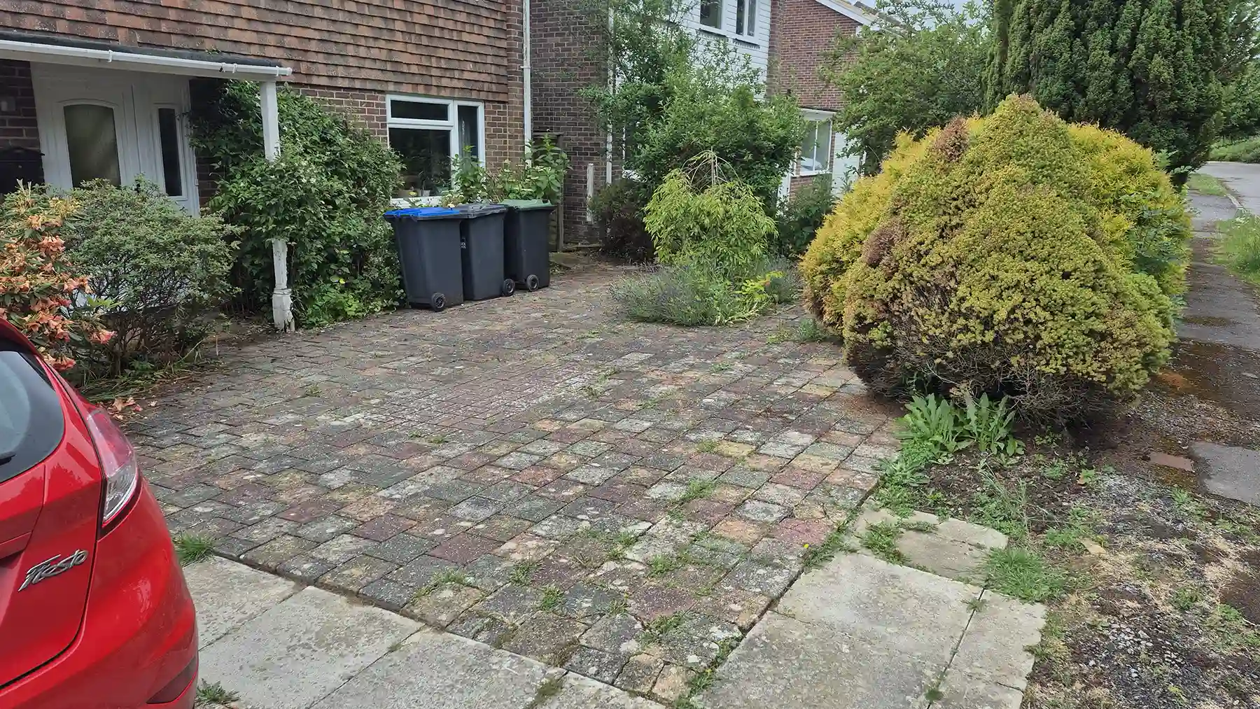Weathered block paved driveway with visible weeds growing between joints, three wheelie bins against a brick wall, and a large golden conifer bush to the right.