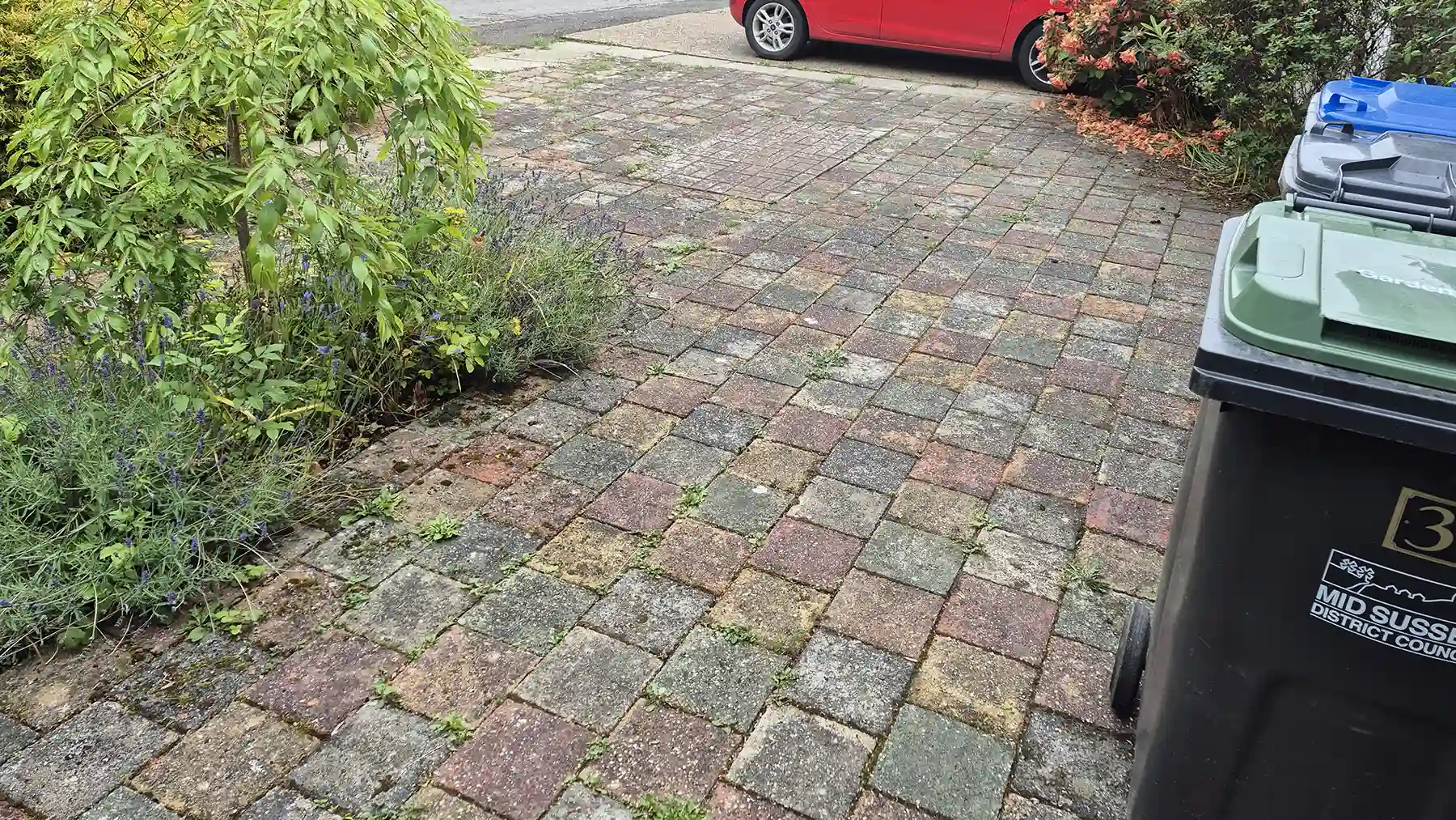 Top-down view of an old block paved driveway showing moss and weeds in the block gaps, flanked by wheelie bins on the right and overgrown garden plants on the left.